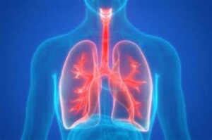 Lung Cancer Breathomics