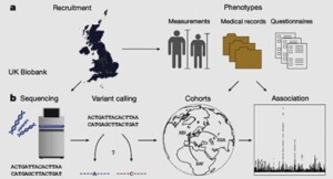 mass whole genome sequencing