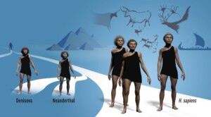 Nobel Prize for Old DNA of Neanderthal