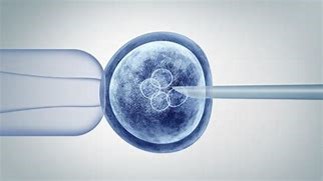 CRISPR Embryo Errors