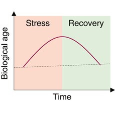 Reversing aging (Biological age)