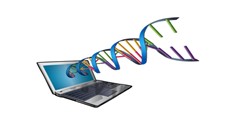 Bioinformatics Explanation