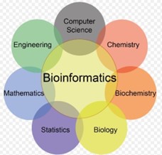 Bioinformatics Explanation