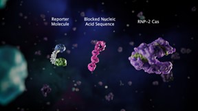 CRISPR Cascade