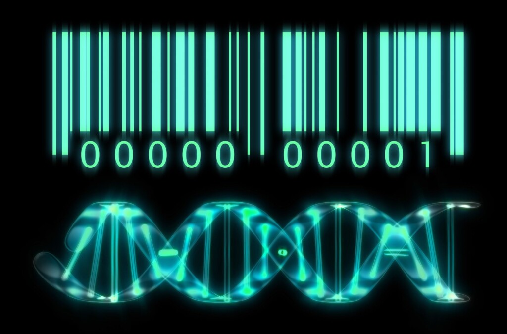 DNA Barcode Databases - Bioinformatics Hub